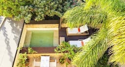 Spirit of the Knights