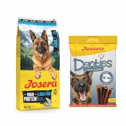 Josera: karma sucha dla psa, 12,5 kg + Denties, przysmak, 180 g gratis! - High Protein Adult, ryba morska, 12,5 kg + Denties, z drobiem i jagodami, 180 g