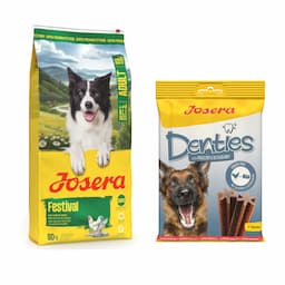 Josera: karma sucha dla psa, 12,5 kg + Denties, przysmak, 180 g gratis! - Adult Festival, łosoś i kurczak, 12,5 kg + Denties, z drobiem i jagodami, 180 g