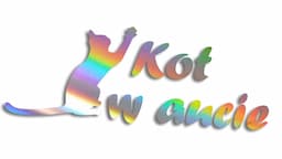 Wycinana naklejka KOT W AUCIE holograficzna - J and A