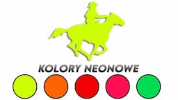 Wycinana naklejka KOWBOJ - COWBOY - KOŃ kolory neonowe - J and A
