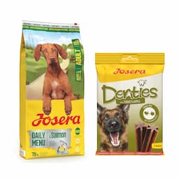 Josera: karma sucha dla psa, 12,5 kg + Denties, przysmak, 180 g gratis! - Daily Menu Adult, łosoś, 12,5 kg + Denties, z indykiem i jabłkiem, 180 g