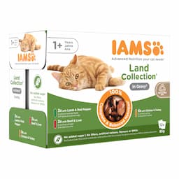 IAMS Advanced Nutrition Adult, mięsne smaki w sosie - 24 x 85 g