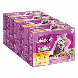 Megapakiet Whiskas Junior w saszetkach, 48 x 85 g - Wybór dań drobiowych w galarecie