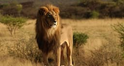 Reef & Beach Resort + Safari