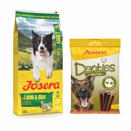 Josera: karma sucha dla psa, 12,5 kg + Denties, przysmak, 180 g gratis! - Adult, jagnięcina i ryż, 12,5 kg + Denties, z indykiem i jabłkiem, 180 g