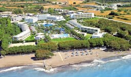 Alex Beach